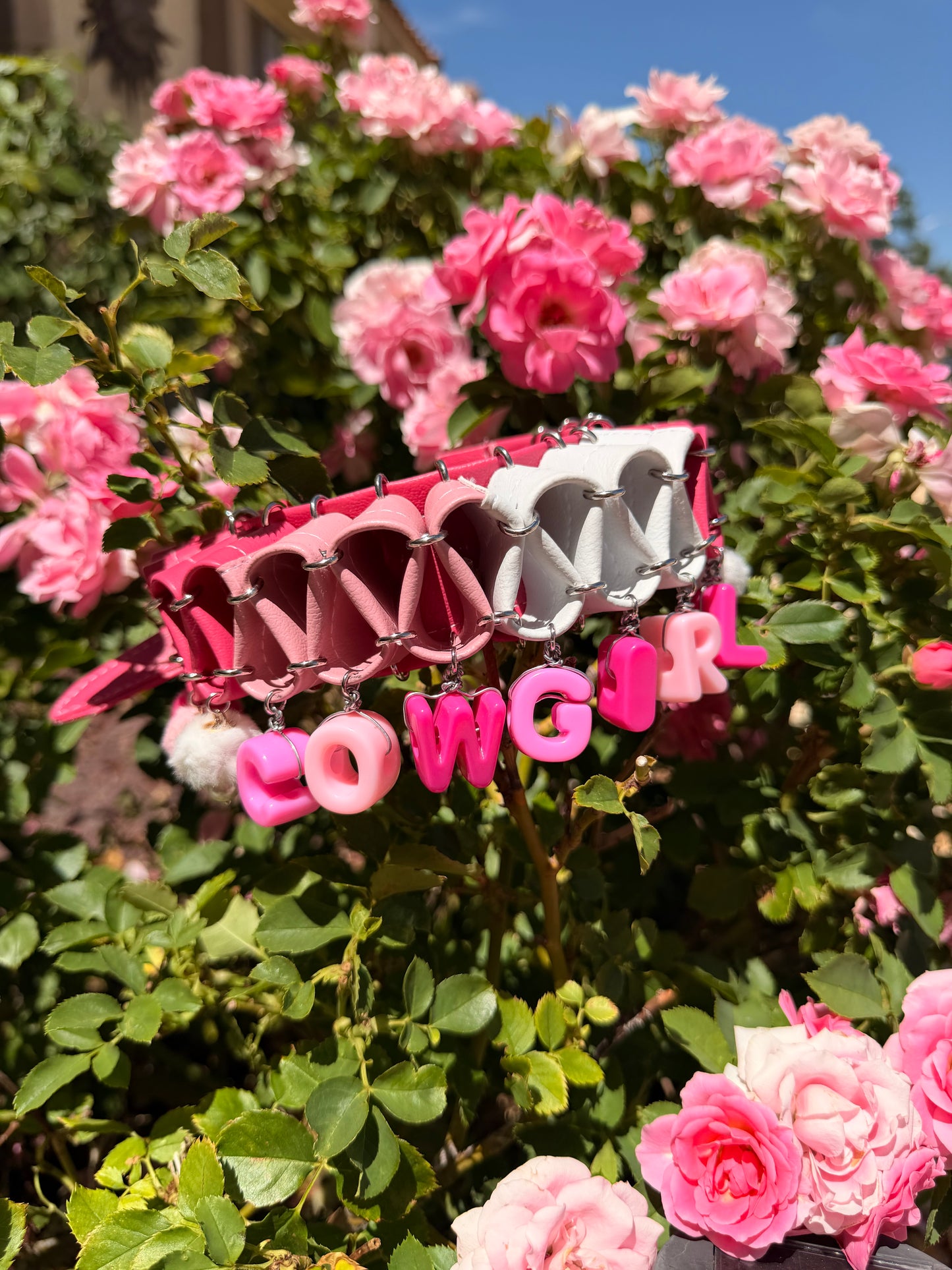 Cowgirl Clown Collar