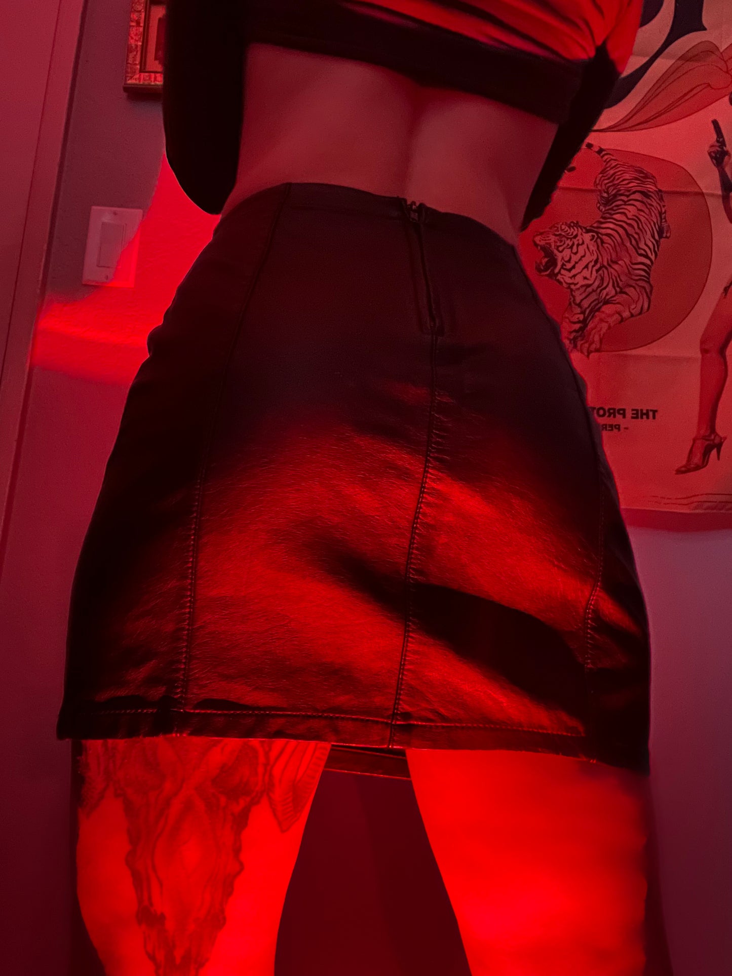 Holy Hell Black Smoke Vinyl Skirt