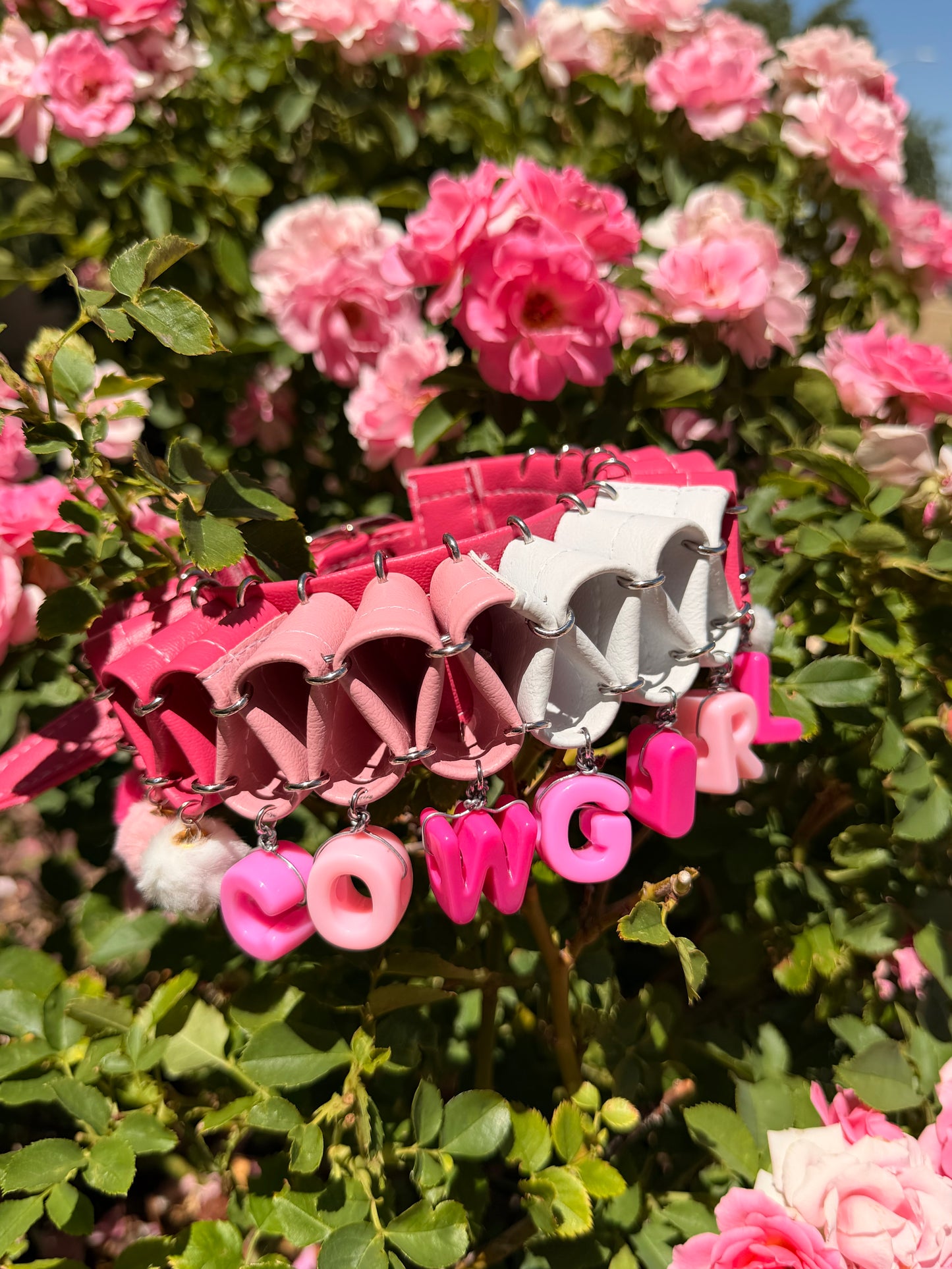 Cowgirl Clown Collar