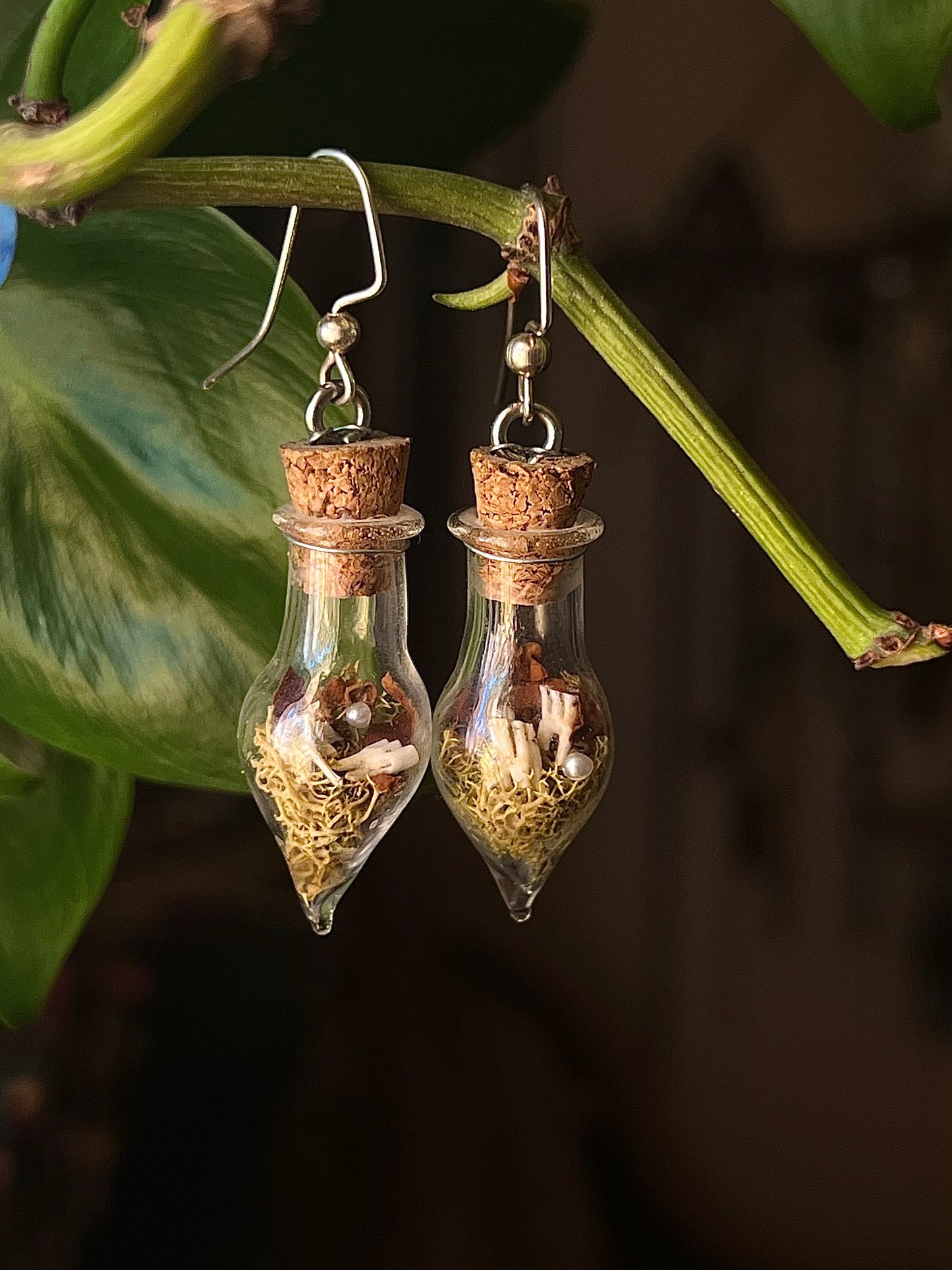 Mouse Teeth vial earrings