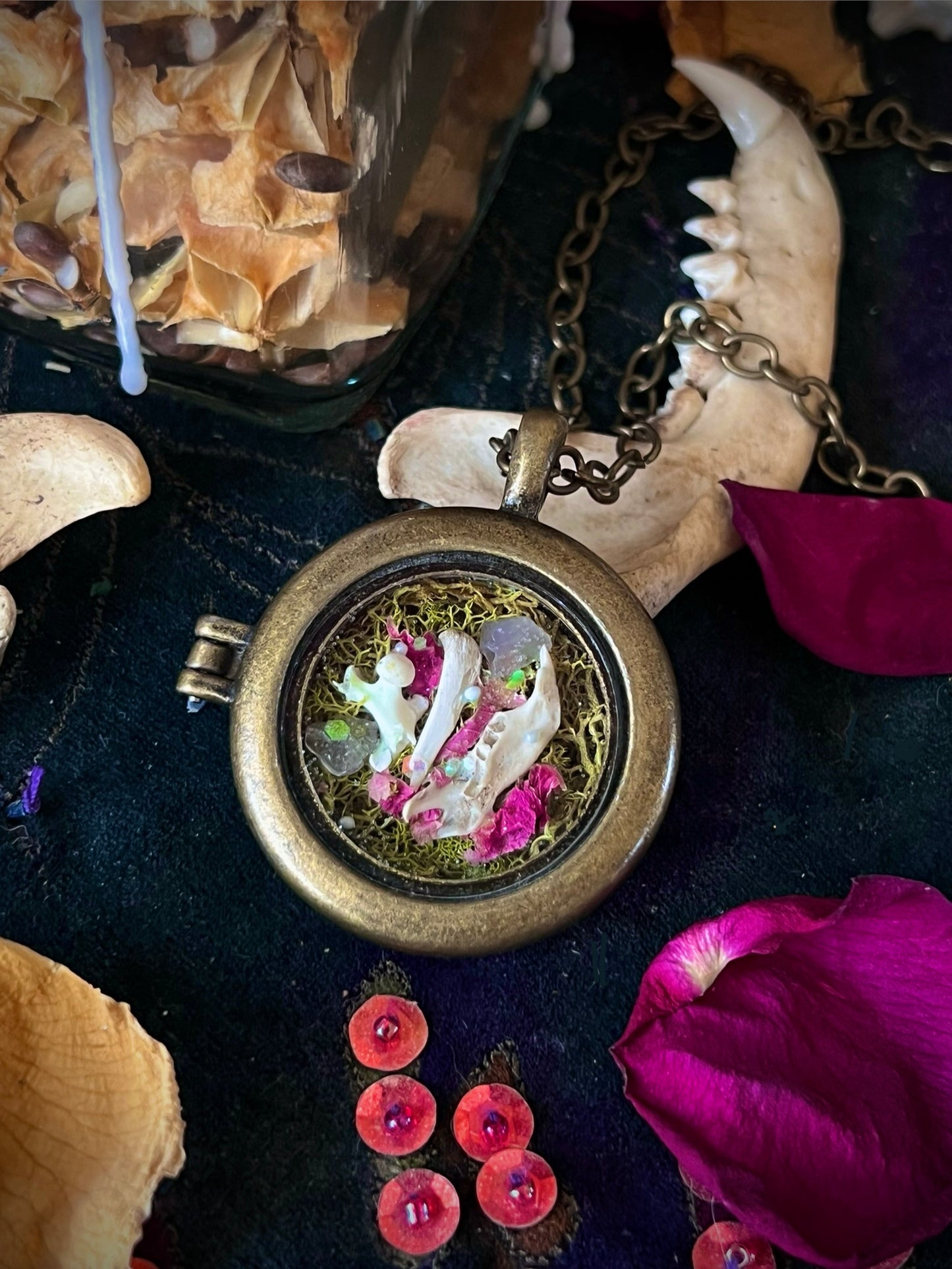 Desert findings locket