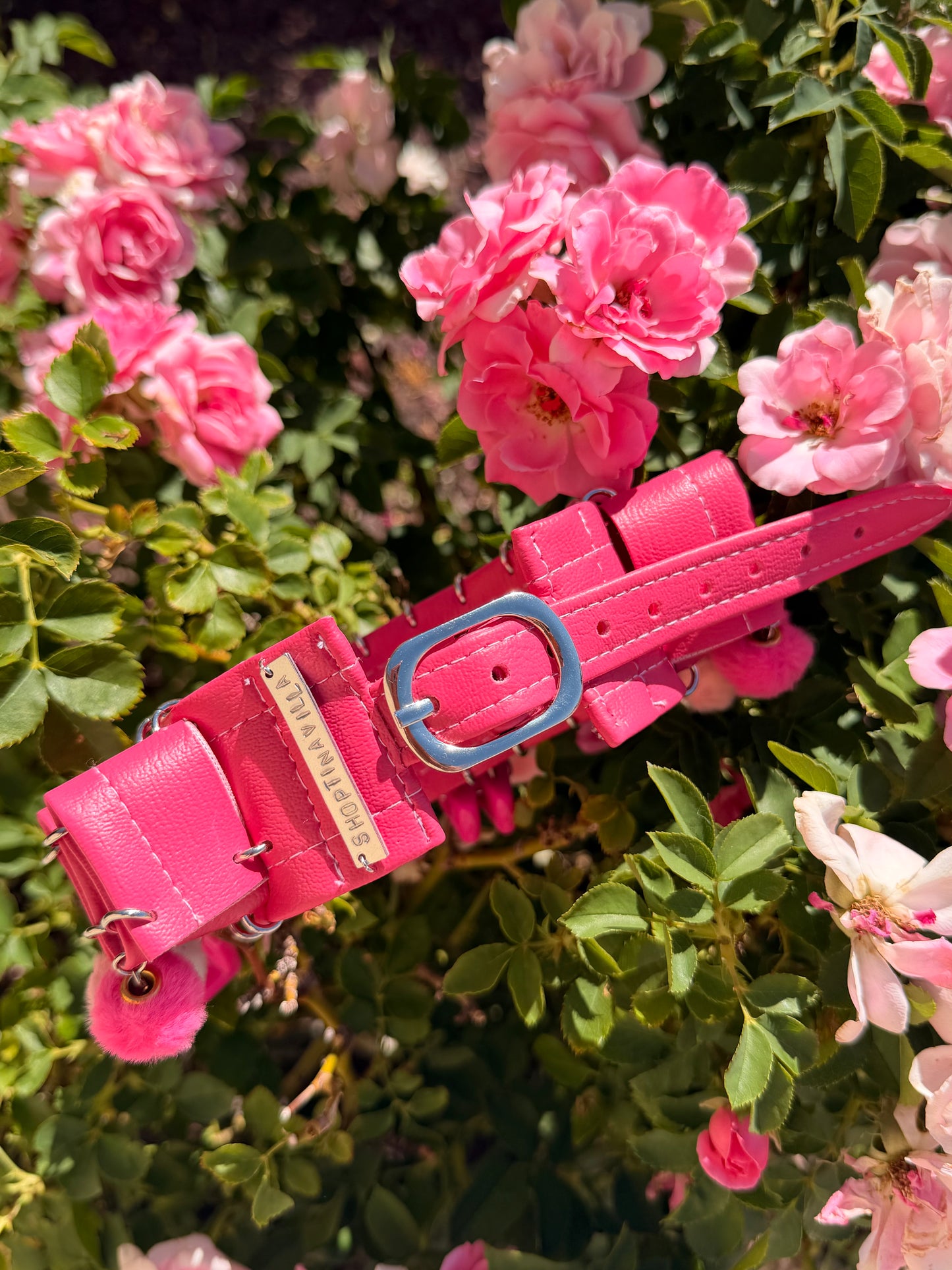Cowgirl Clown Collar